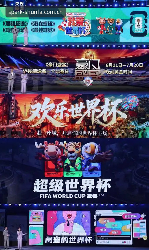 世界杯观赛签证难题实用应对指南——老球迷的避坑经验分享